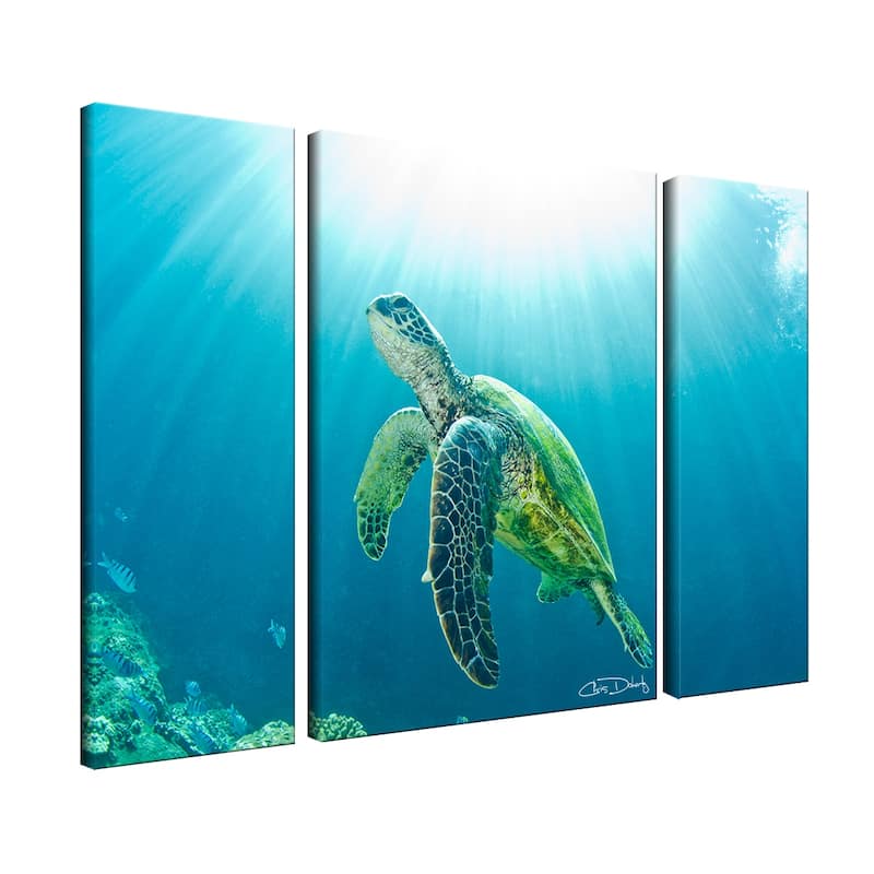 Ready2HangArt 'Sea Turtle' 3-Piece Wrapped Canvas Wall Art Set