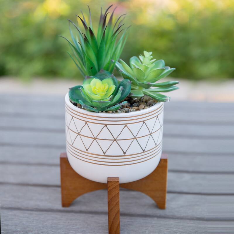Artificial Plant Succulent IN GOLD HANDPIANT 5" CERAMIC FOOTED STAND - ONE-SIZE