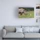 Bob Langrish 'White Rhinoceros 5' Canvas Art - On Sale - Bed Bath ...