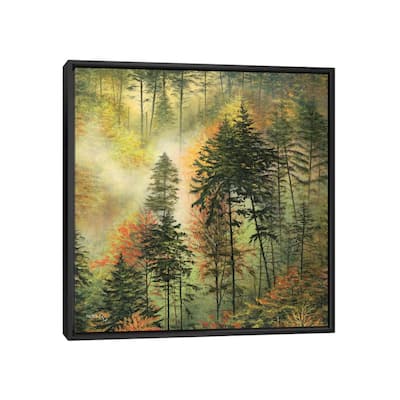 iCanvas "Northwest Glory" by ColorByFeliks Framed Canvas Print