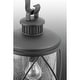 preview thumbnail 4 of 9, Progress Lighting Hollingsworth Single Light 10" Wide Outdoor Pendant