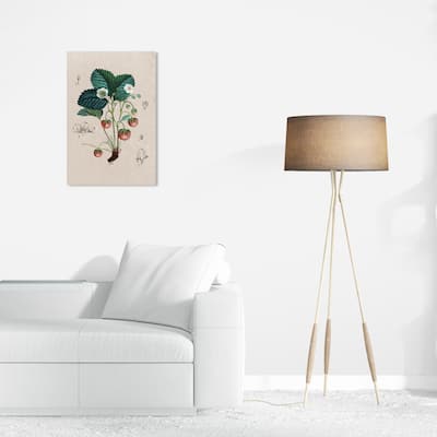 Wynwood Studio Canvas Floral and Botanical Floral Diagram II White and Traditional Wall Art Canvas Print