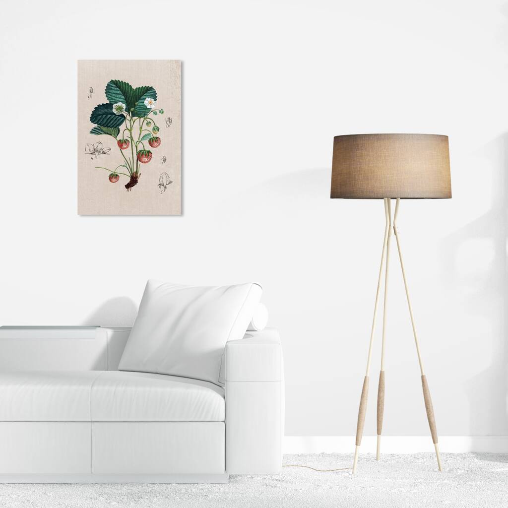 Wynwood Studio Canvas Floral and Botanical Floral Diagram II White and Traditional Wall Art Canvas Print