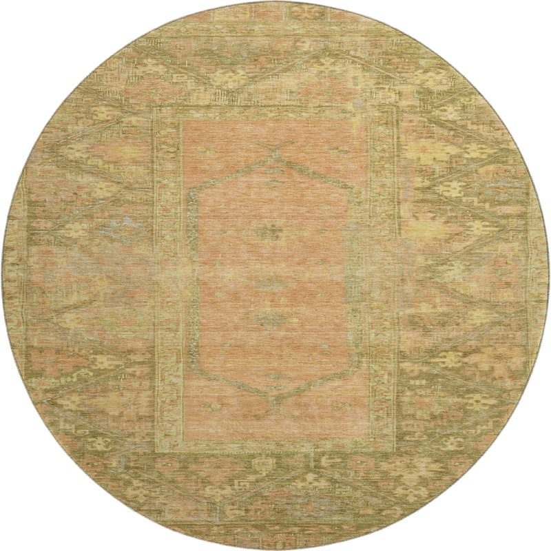 Premium Washable Super Soft Traditional Global Mayfield Rug