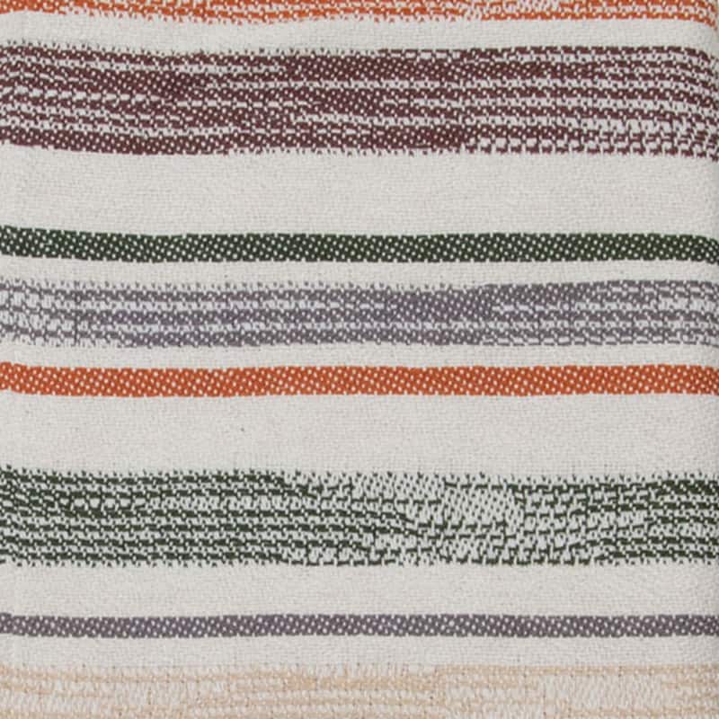 Foreside Home & Garden Multicolor Hand Woven 50 x 60 inch Cotton Throw Blanket with Hand Tied Tassels
