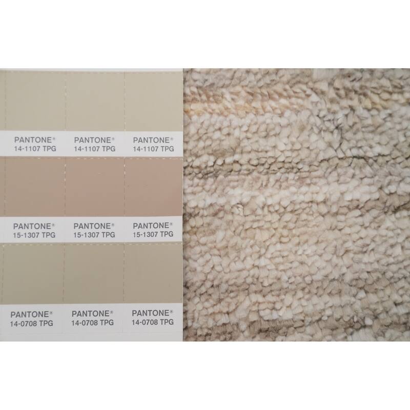 Hand Knotted Oriental Viscose Silk Carpet Tribal Animal Pictorial Beige & Ivories Gabbeh Area Rug - 12' 0'' X 6' 6''