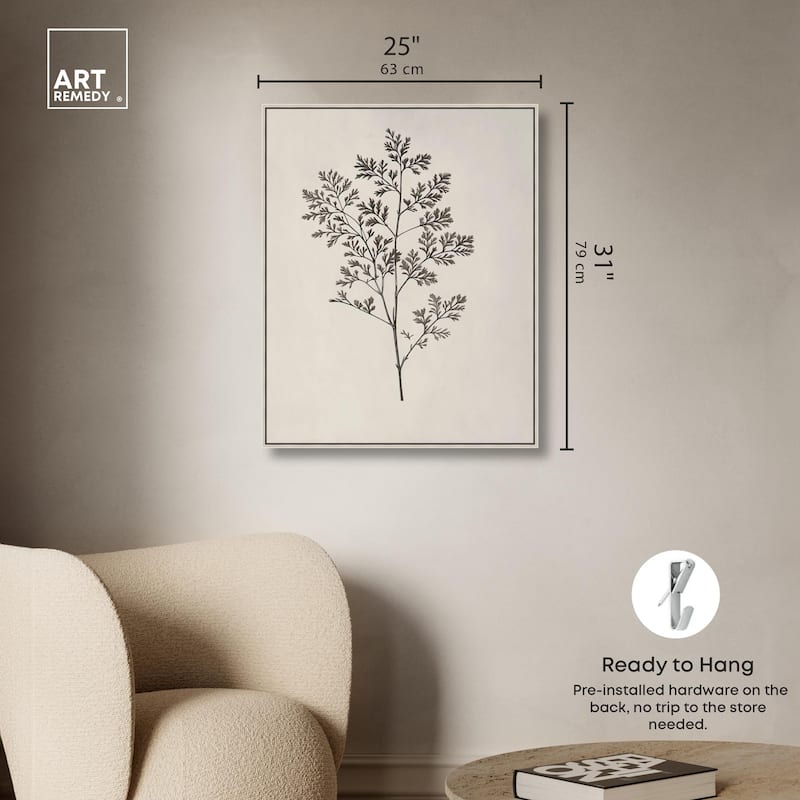 Aniseed Anatomy II Canvas Delicate Floral by Art Remedy