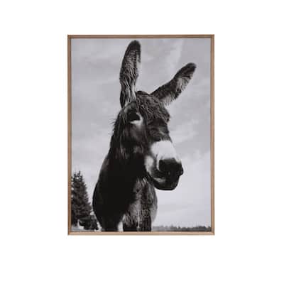 MDF & Canvas Wall Plaque, Donkey