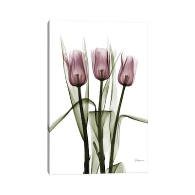 iCanvas "Tulips II" by Albert Koetsier Canvas Print