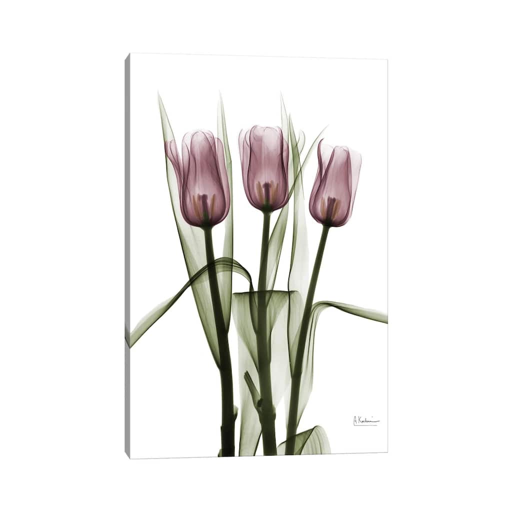iCanvas "Tulips II" by Albert Koetsier Canvas Print