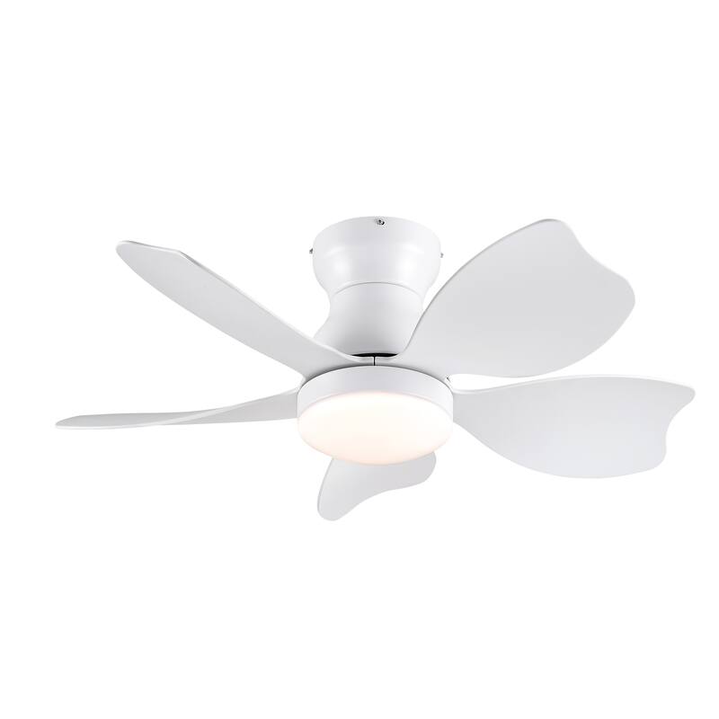 Modern Small Ceiling Fan Light with 3 Color Temperatures and 5 Blades, 6 Adjustable Wind Speeds for Bedroom and Living Room