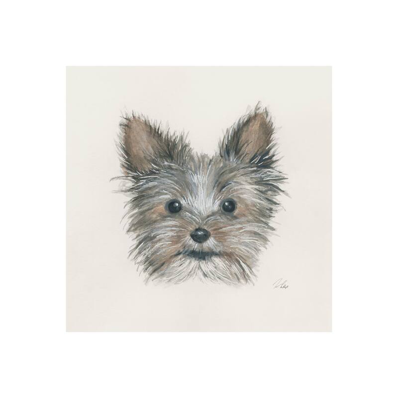 Eddie (Yorkie 1) (20 x 20) Canvas Art Print - Small