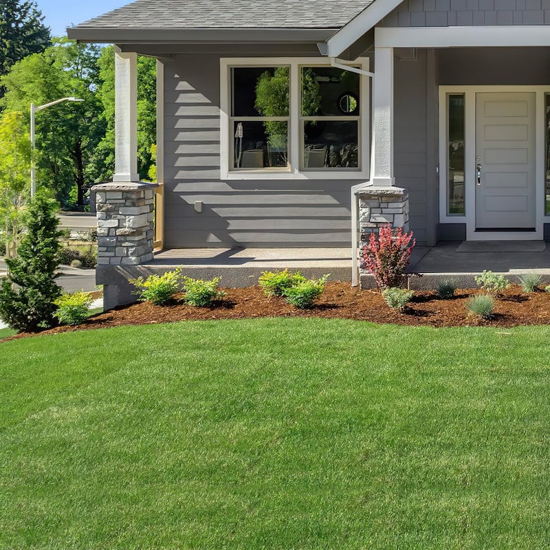 Realistic Grass Alternative: Durable, Pet-Safe Turf Grass Grass Rug