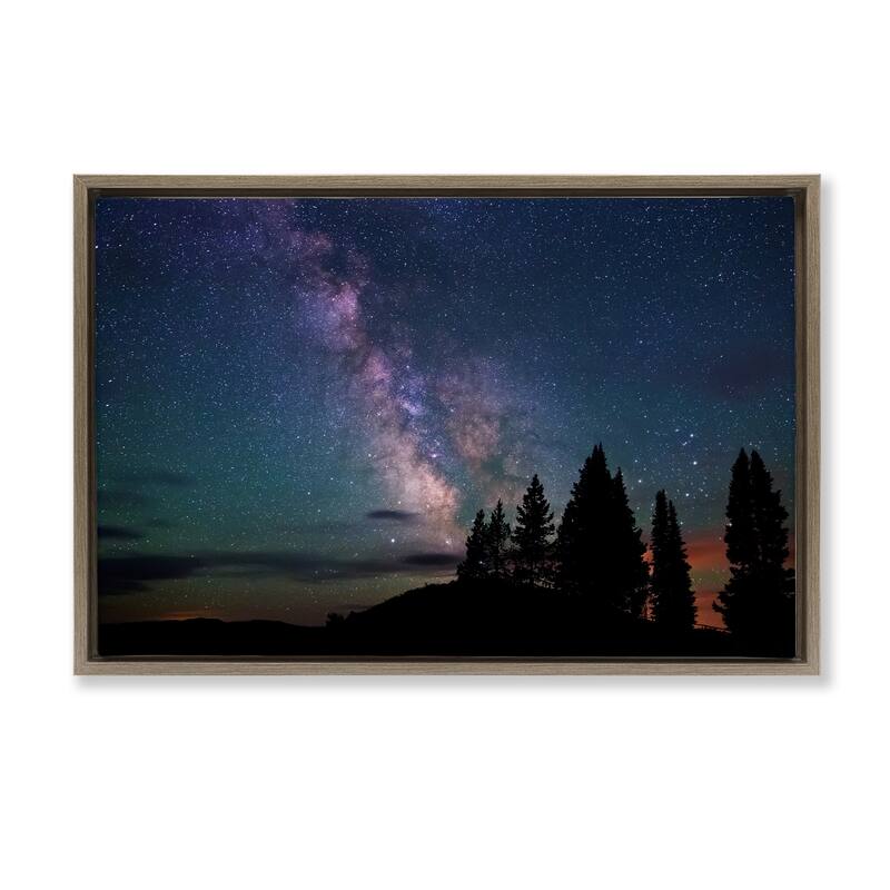 Stupell Silhouetted Forest & Night Sky Framed Floater Canvas Wall Art Design By Royce Bair - 25 x 17 - Brown