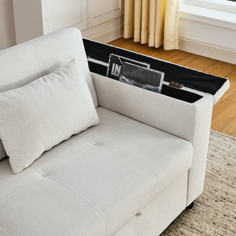 54" Pull-Out Sleeper Sofa Bed Double Seat Recliner Sofa Bed