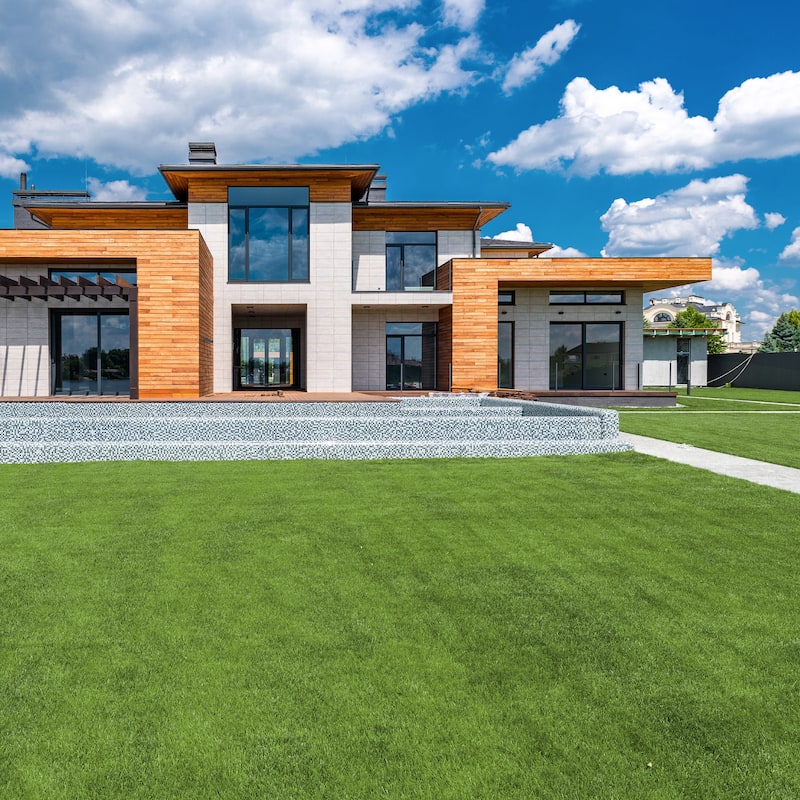 Realistic Grass Alternative: Durable, Pet-Safe Turf Grass Grass Rug