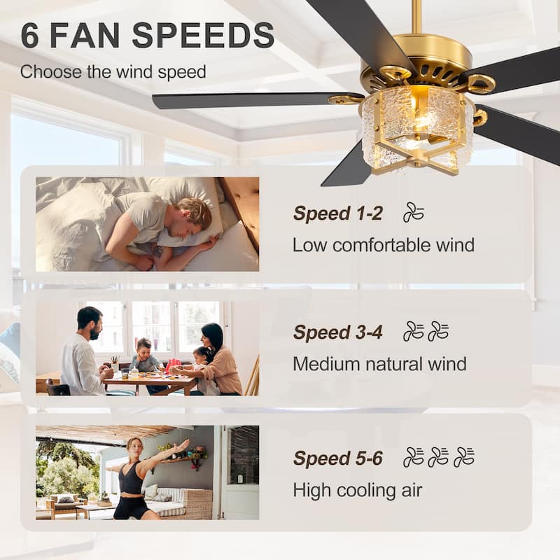 52" Reversible 5-Blade Caged Ceiling Fan with Light and Remote