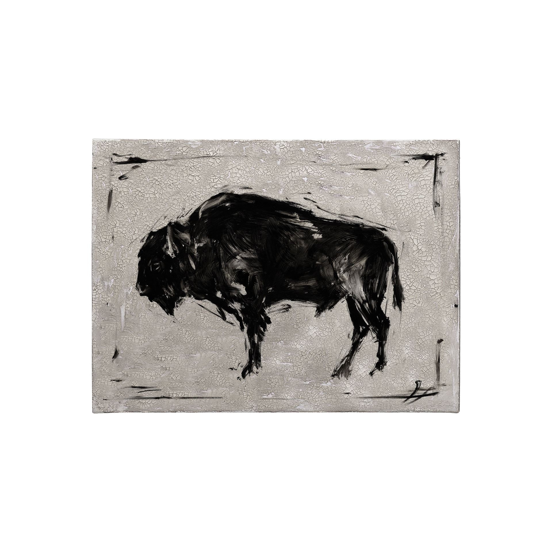 Dynamic Bison II (36 x 27) Canvas Art Print