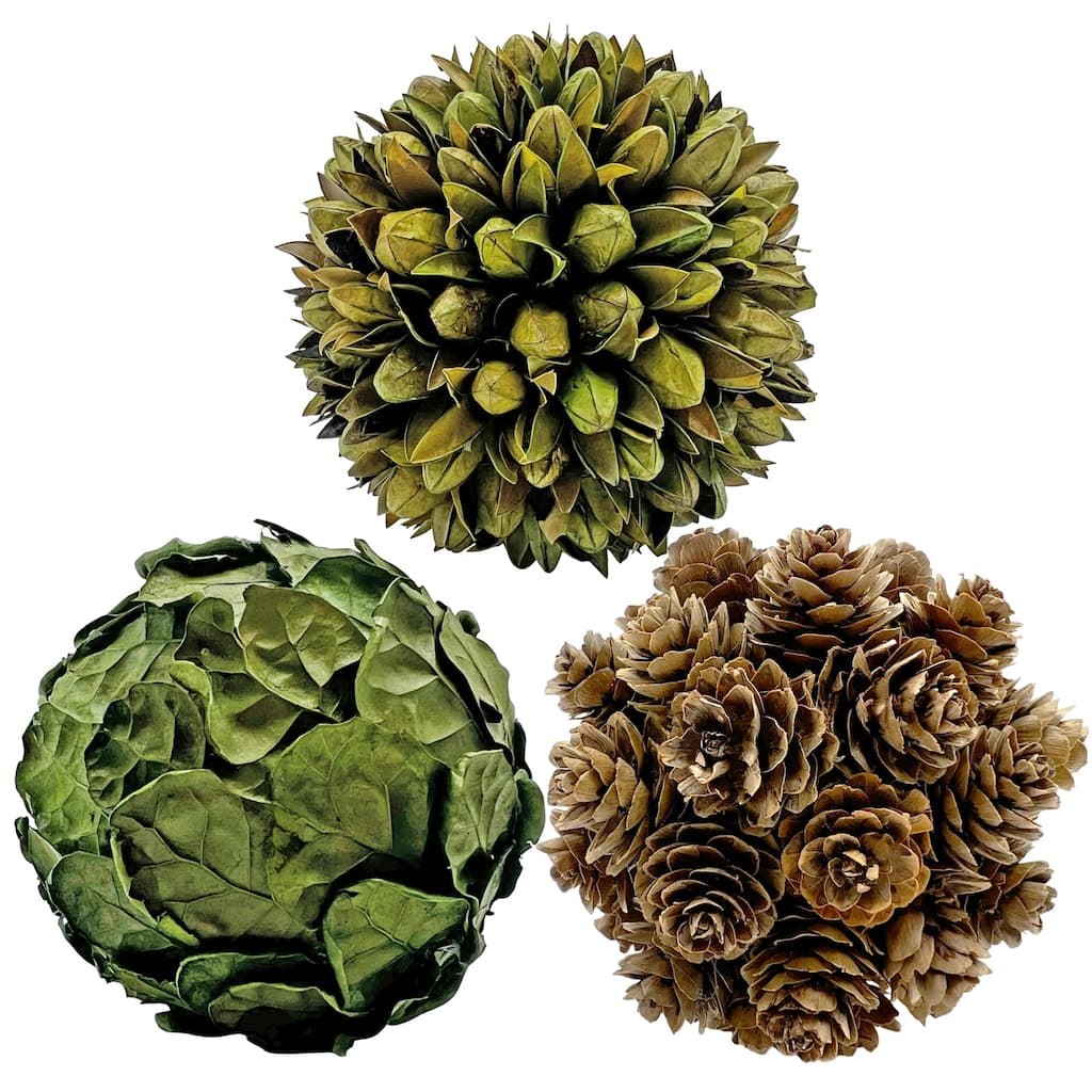 Real Preserved Decorative Pinecone and Magnolia Leaf Decorative Orbs Bowl Filler - Set of 3