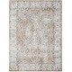 preview thumbnail 2 of 58, Nourison Astra Machine Washable Indoor only Persian Area Rug
