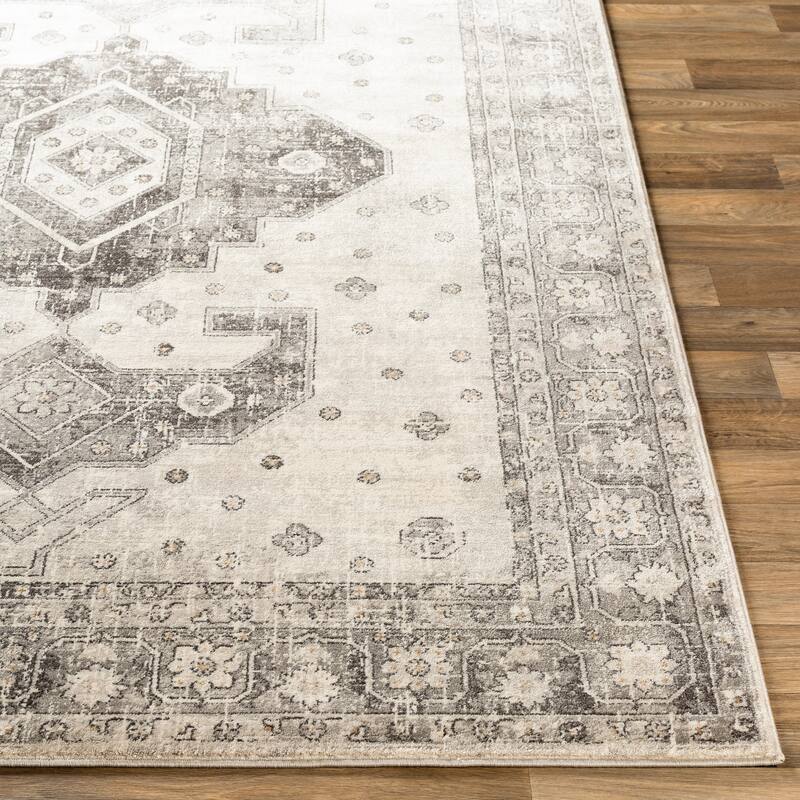 Artistic Weavers Suzy Bohemian Nomad Medallion Area Rug