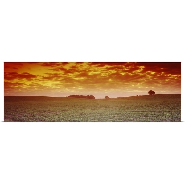 "Clouds over a soybean field, Albert Lea Township, Freeborn County, Minnesota" Poster Print