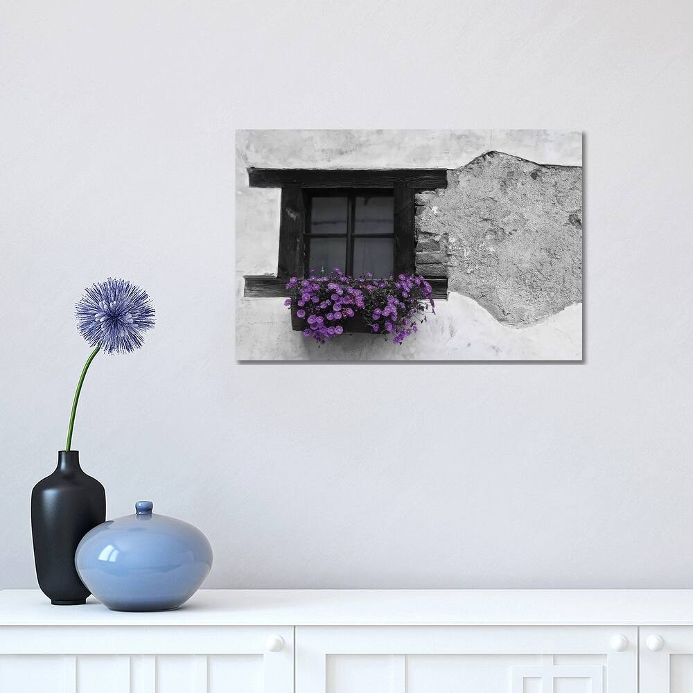 iCanvas "Purple Flower Box In Black And White" by Susan Vizvary Canvas Print