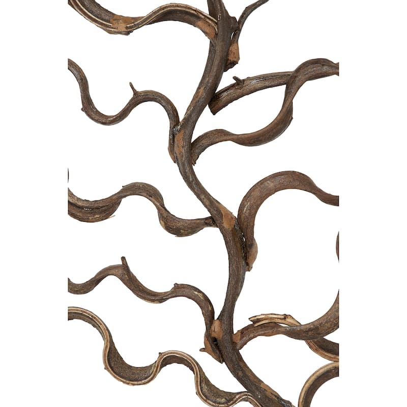 Teak Wood Tree Branch Wall Decor with Black Frame - Brown - Roche River Decor