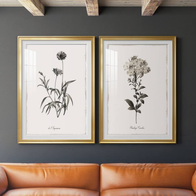 Sketchbook Imperial Premium Framed Print - Ready to Hang