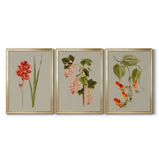 Botanical Array IV Premium Framed Canvas - Ready to Hang - Multi-Color ...