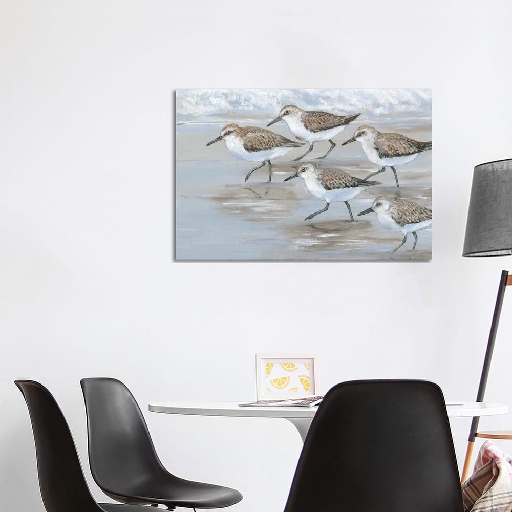 iCanvas "Sandpipers I" by Tim OToole Canvas Print