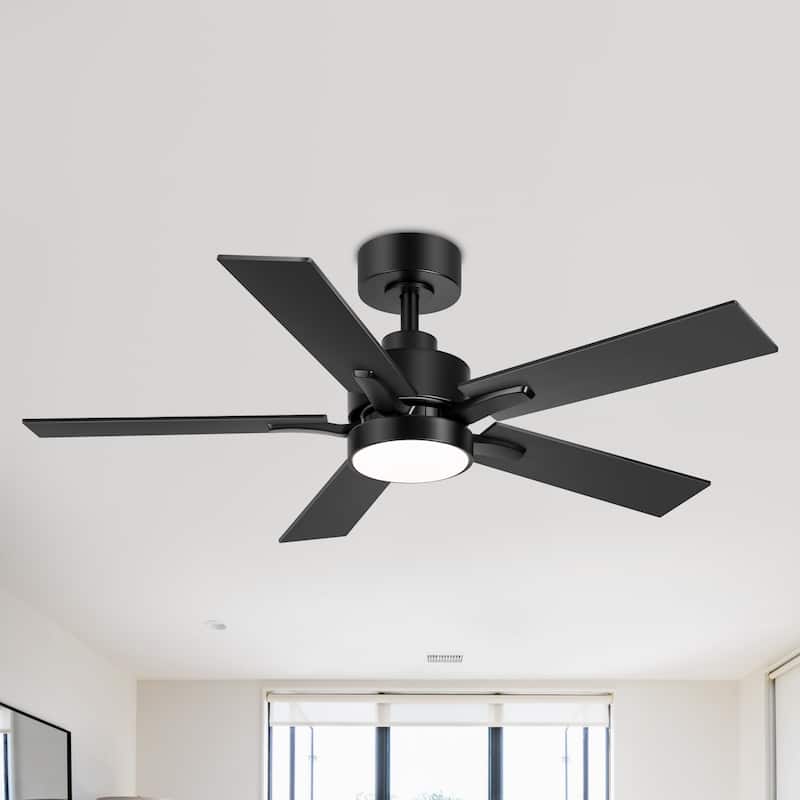 Breezary 52/42-IN LED Ceiling Fan with Light Kit and Remote-5 Blade
