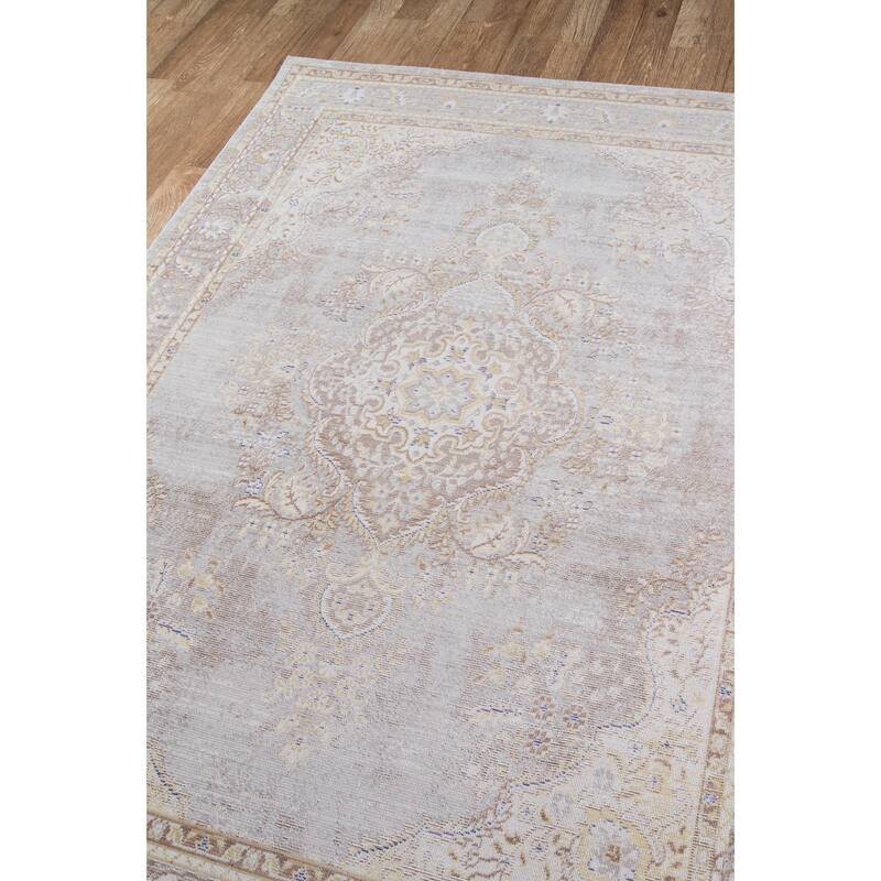 Momeni Isabella Polyester Traditional Medallion Area Rug. - On Sale ...