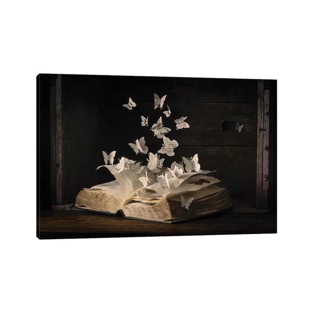 iCanvas "Lepidopterology" by Heather Bonadio Canvas Print