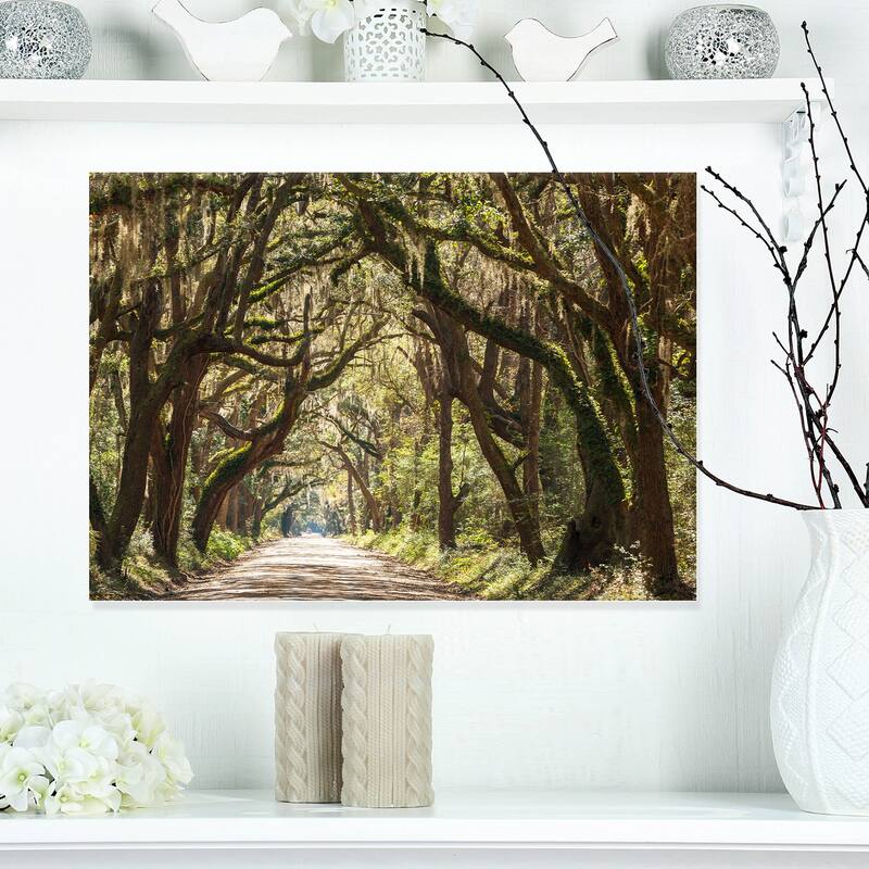 Designart "Trees Tunnel in Botany Bay" Landscape Print Wall Art - 20 in. wide x 12 in. high - 1 Panel