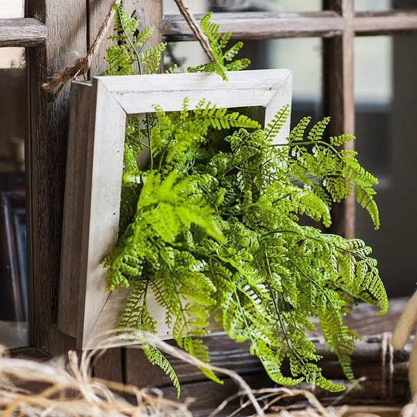RusticReach Green Plant Oba Fern in Wood Frame Plant Wall Art