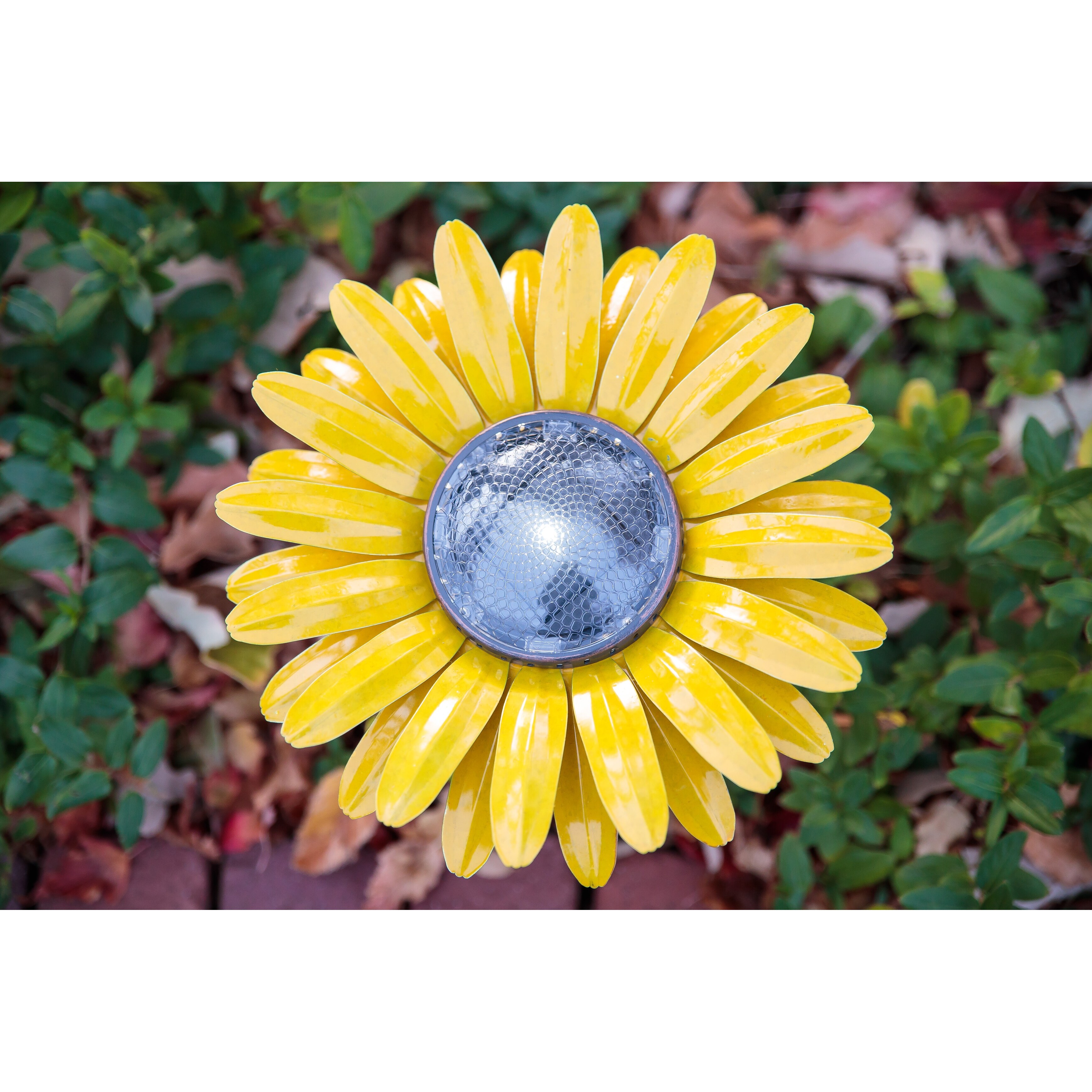 Daisy Solar Garden Light | eBay