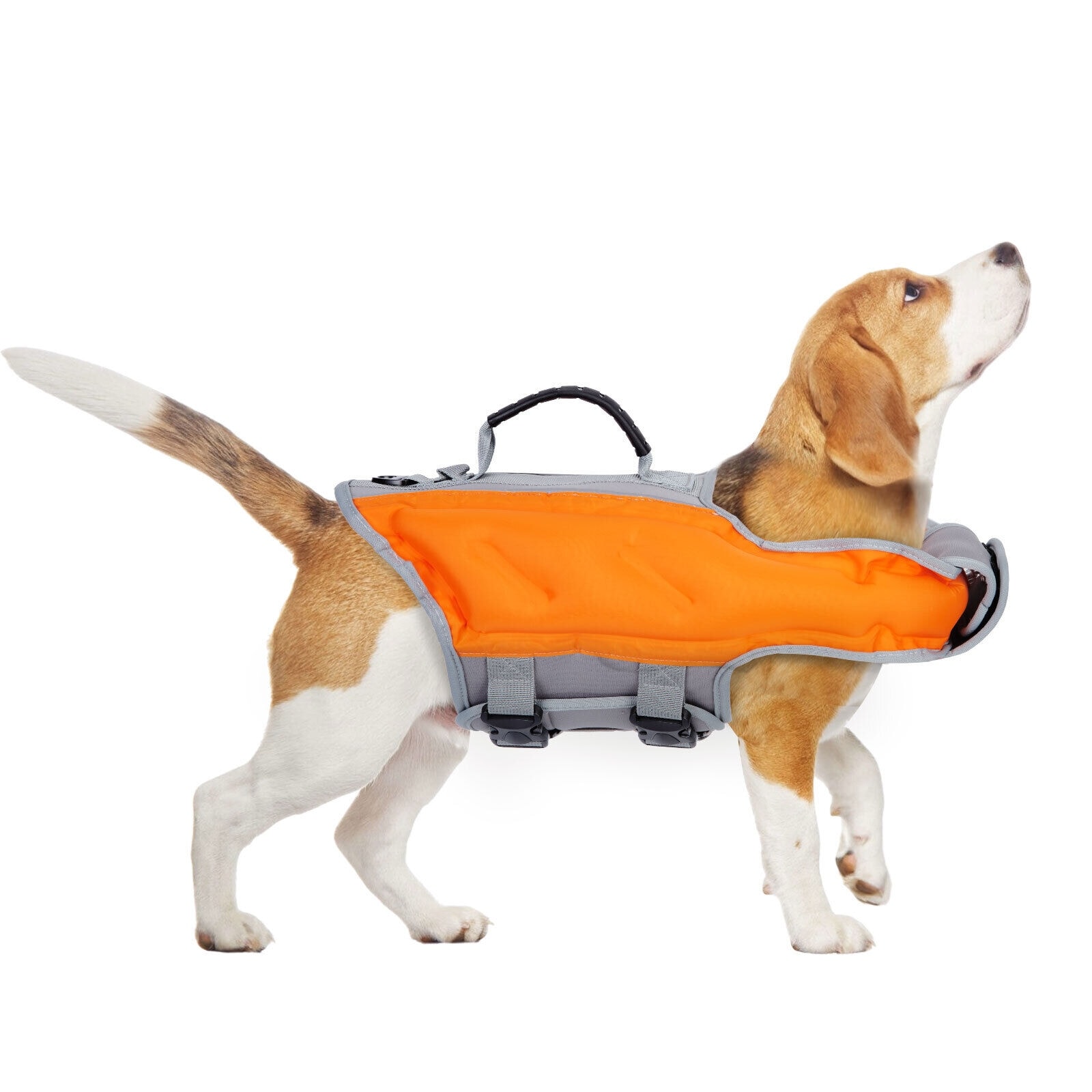 https://ak1.ostkcdn.com/images/products/is/images/direct/1a61a3df52cf9d41e7228ee7512a2e8753439121/Dog-Swim-Safety-Vest-Life-Jacket-Preservers-Reflective-Inflatable-Rescue.jpg