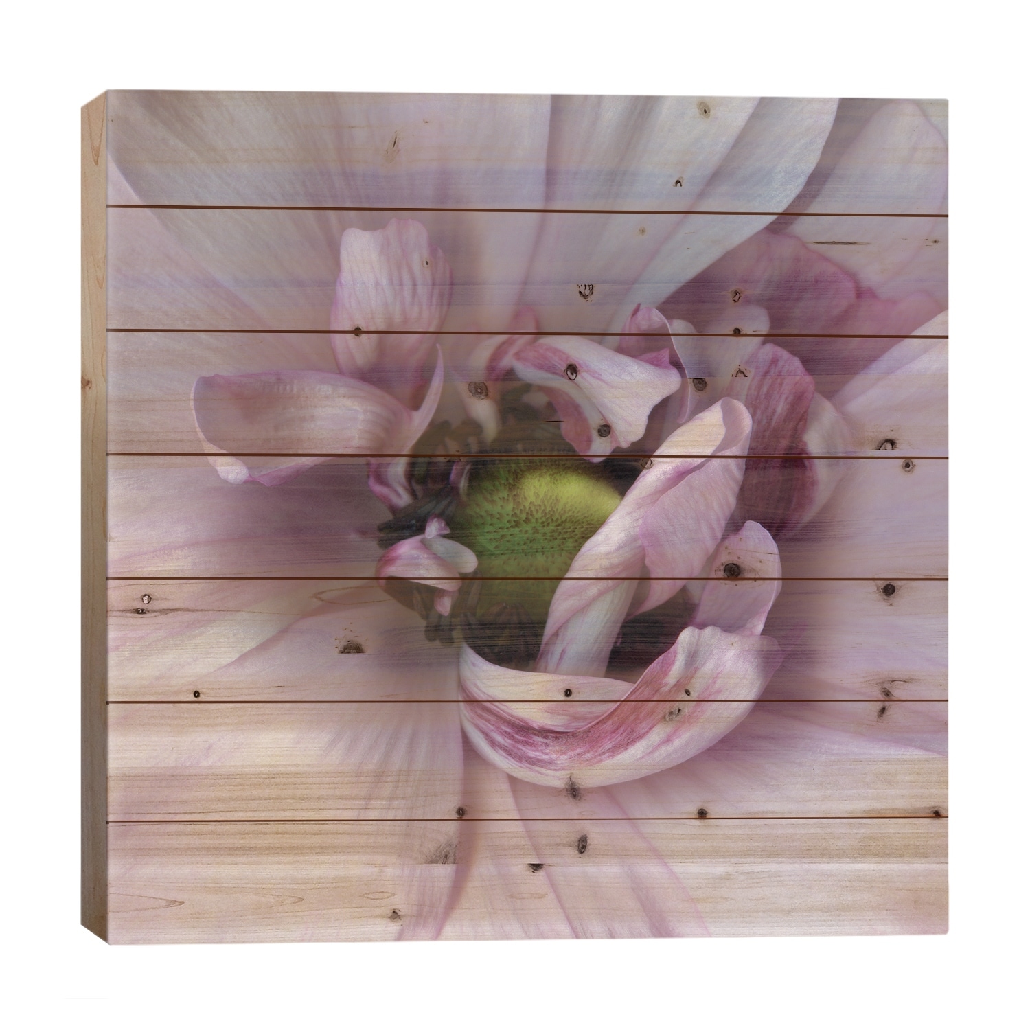 Step Into My Boudoir Print On Wood by Magda Indigo - Multi-Color