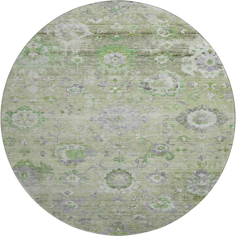 Premium Washable Super Soft Traditional Vintage Mayfield Rug
