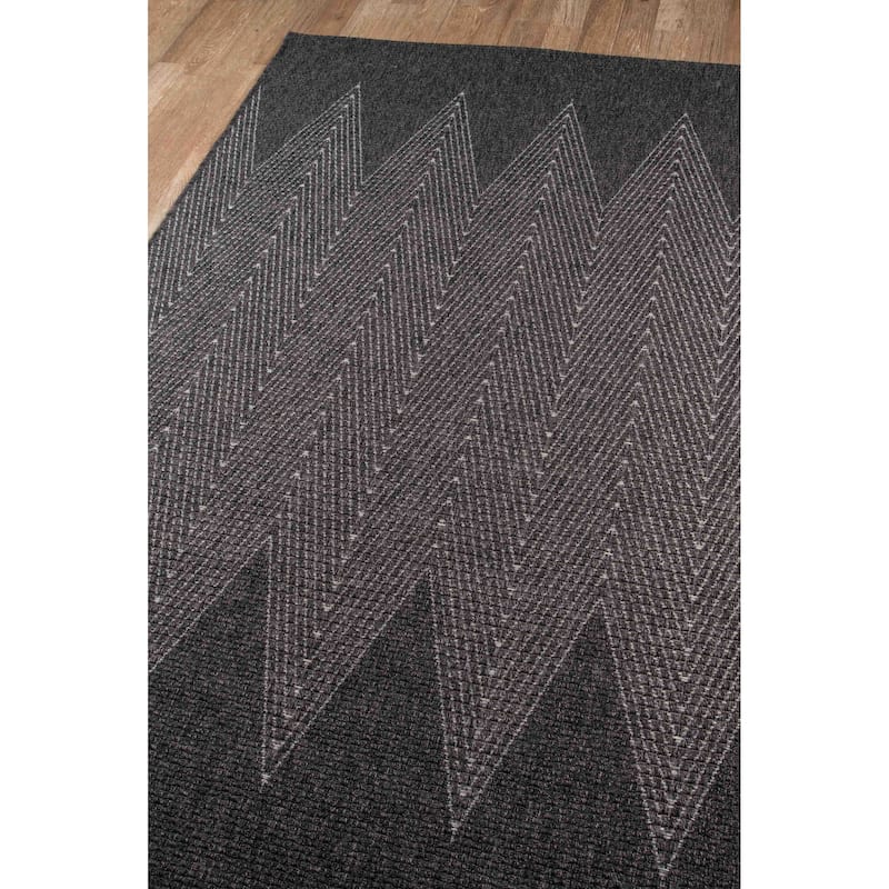 ECARPETGALLERY Machine Woven Raven Indoor/Outdoor Area Rug