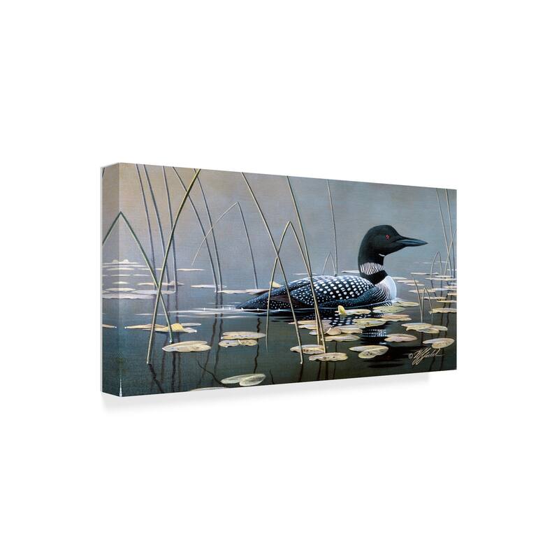 Wilhelm Goebel 'Loon In Reeds' Canvas Art