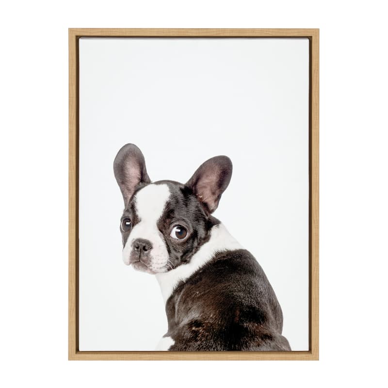 Kate and Laurel Sylvie Animal Studio French Bulldog Framed Canvas by Amy Peterson Art Studio