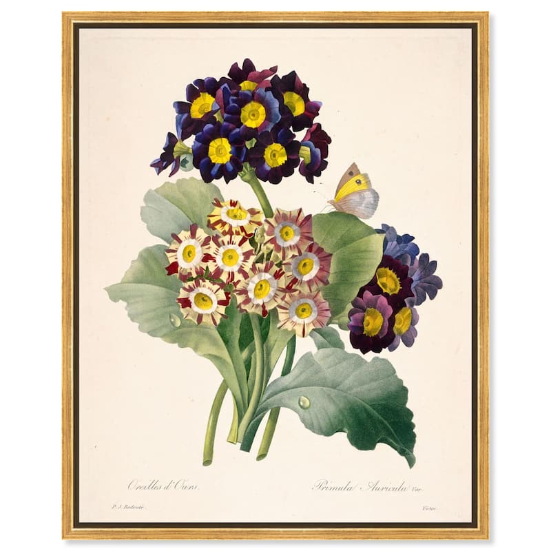 Auricula Varieties Canvas by Art Remedy - Gold - 20" x 24"