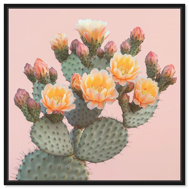 Pink and Prickly Canvas by Art Remedy - 20" x 20" - Black