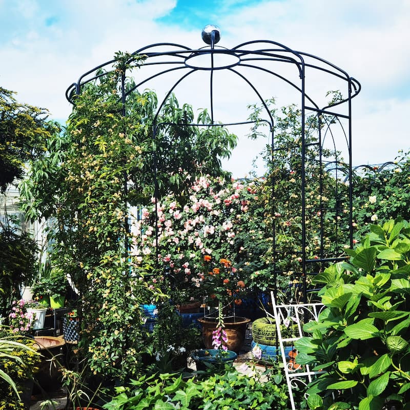 Metal Garden Arch Iron Garden Arbors Gazebo Dia 81.3'' x 114.2'' High Birdcage Shape Pergola Pavilion for Wedding Ceremony