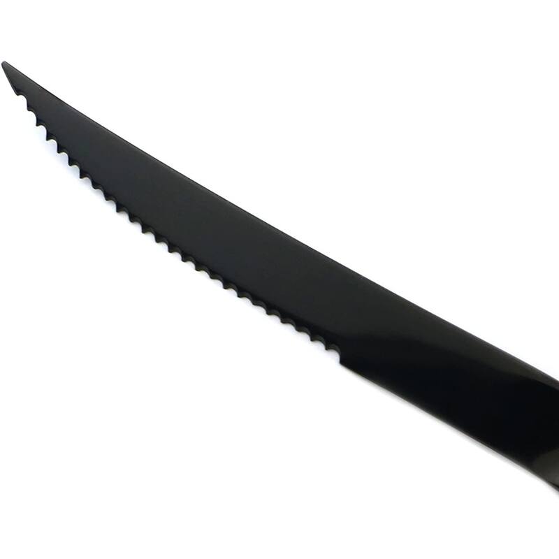 20Piece 18/10 Stainless Steel Serrated Steak Knife Flatware Set