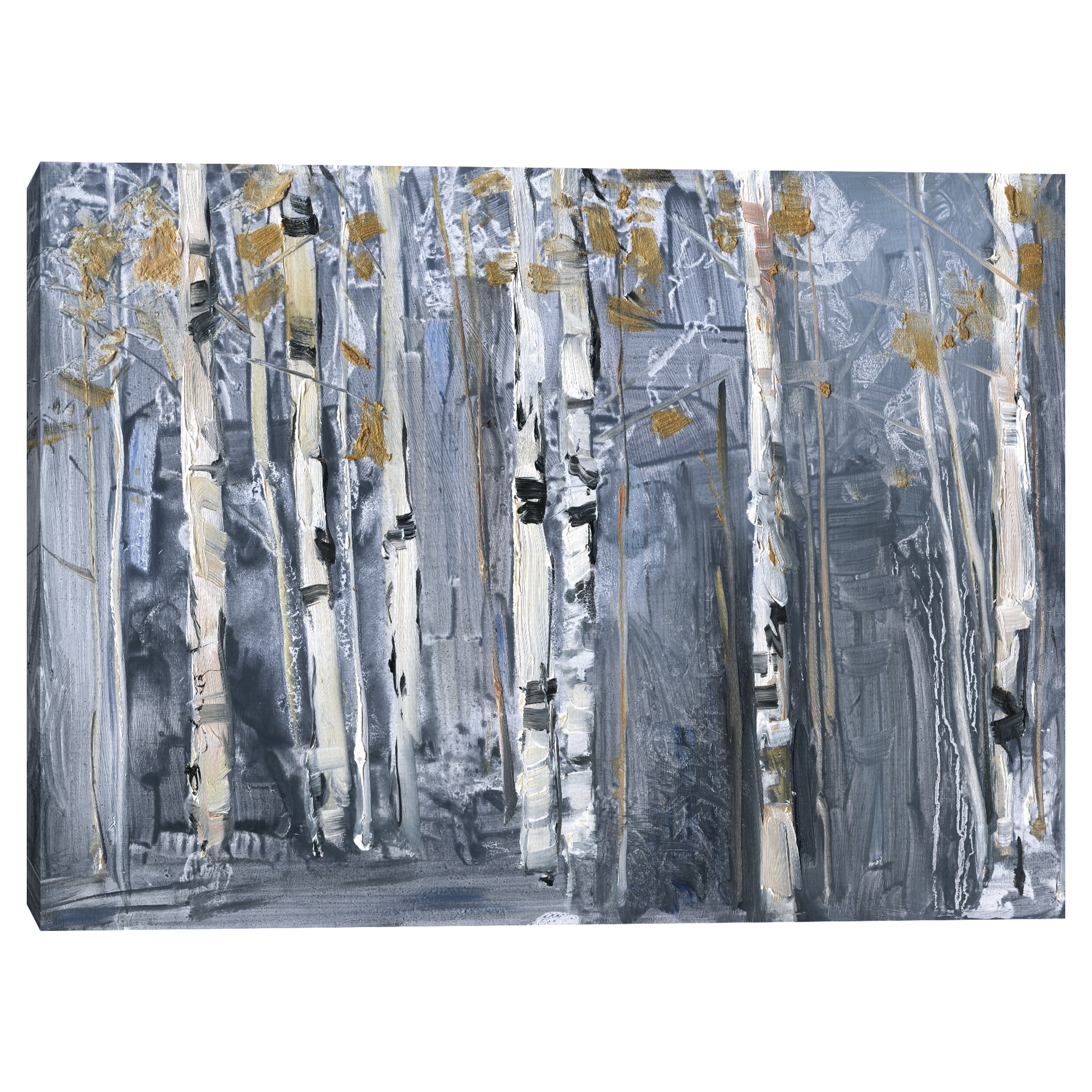 Modern Birch by Sally Swatland Canvas Art Print