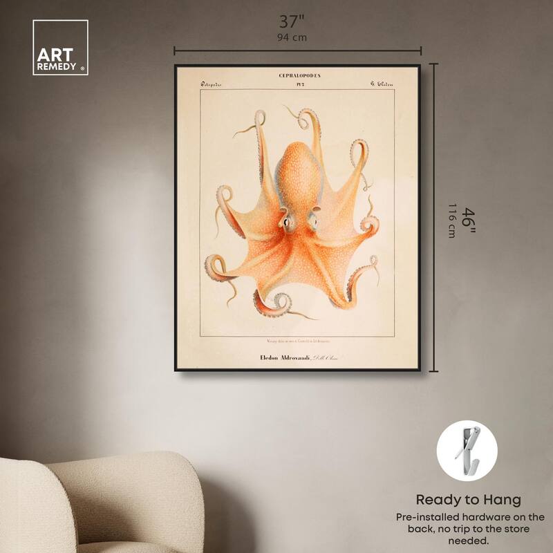 Verany The Octopus 1815 II Canvas by Art Remedy