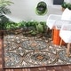 preview thumbnail 3 of 35, SAFAVIEH Veranda Rexhie Indoor/ Outdoor Waterproof Patio Backyard Rug 2'7" x 5' - Chocolate/Aqua
